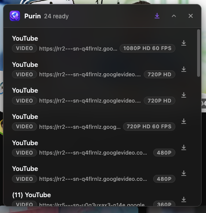 Purin browser companion showing captured video links.